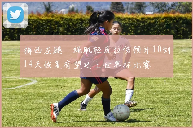梅西左腿腘绳肌轻度拉伤预计10到14天恢复有望赶上世界杯比赛