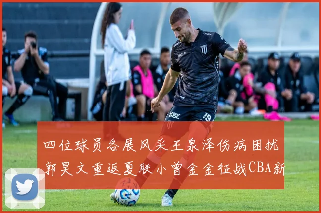 四位球员各展风采王泉泽伤病困扰郭昊文重返夏联小曾金金征战CBA新赛季